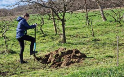 Kada škola postane život – naš put kroz ERDKINDERPLAN