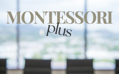 Moja Montessori priča
