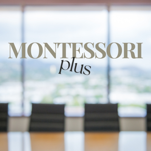 montessori plus montessori plus